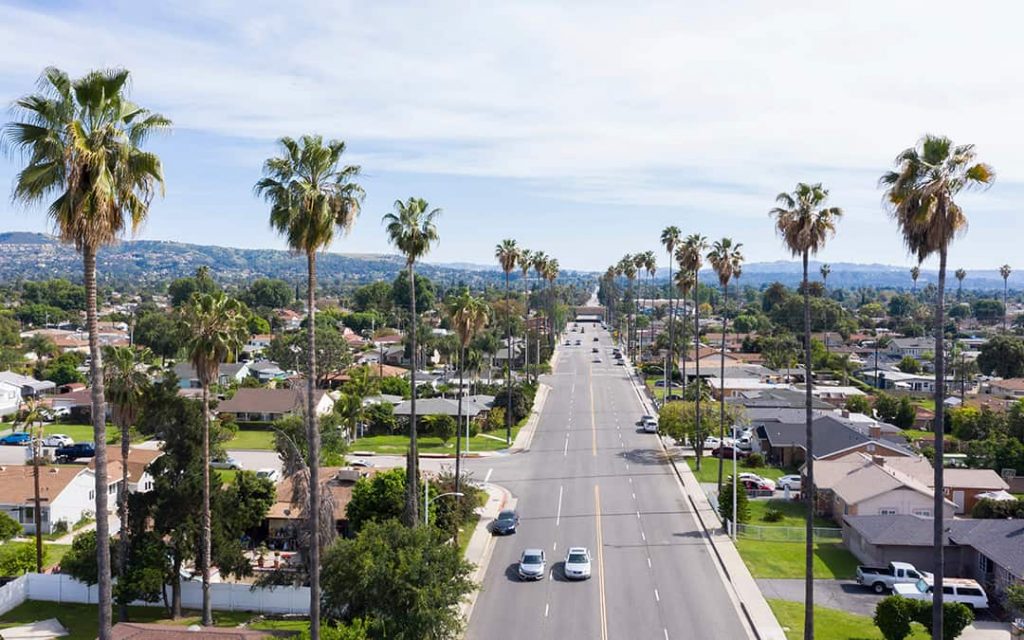 palm trees lining a street 