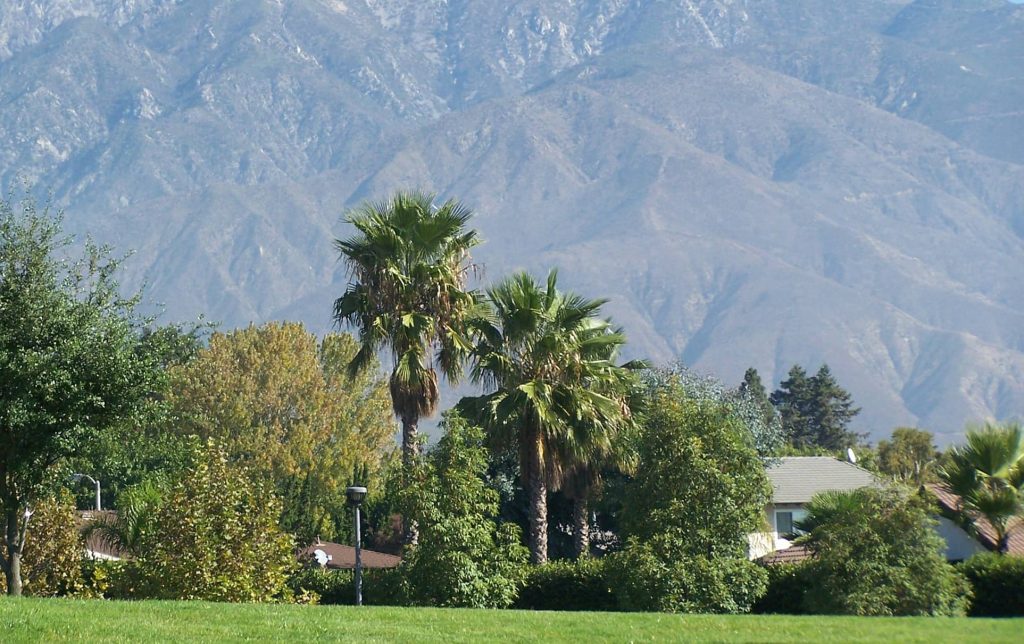 Alta Loma