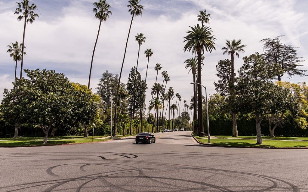 Palm Trees And View Of Sky In Beverly Hills Neighborhood