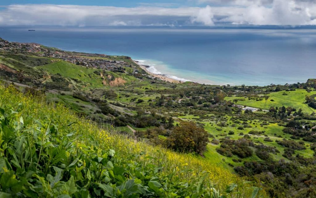 Aeiral View Of Palos Verdes California